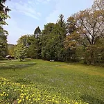 Moderne Ferienwohnung Am Thueringer Wald Perfekt Fuer Familien, Paare & Urlaub Mit Hund, Mit Sauna & Balkon アパート