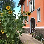 Moderne Ferienwohnung Am Thueringer Wald Perfekt Fuer Familien, Paare & Urlaub Mit Hund, Mit Sauna & Balkon Lägenhet *