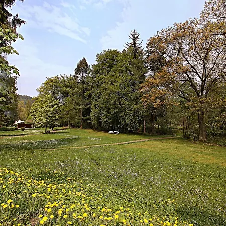 Moderne In Alter Apartman