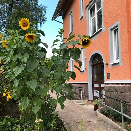 Moderne Am Thueringer Wald Perfekt Fuer Familien, Paare & Urlaub Mit Hund, Mit Sauna & Balkon Apartman *