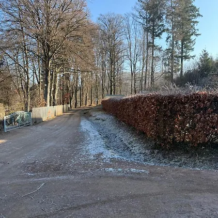 Moderne Ferienwohnung Am Thueringer Wald Perfekt Fuer Familien, Paare & Urlaub Mit Hund, Mit Sauna & Balkon Lägenhet