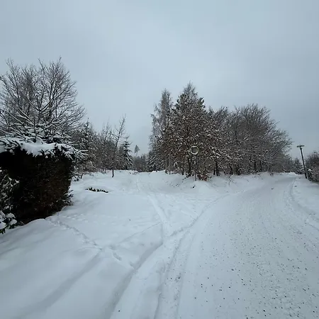 Moderne In Alter Apartman